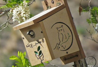 ایرانیکارت حامی موسسه پرنده شناسان آوای بوم
