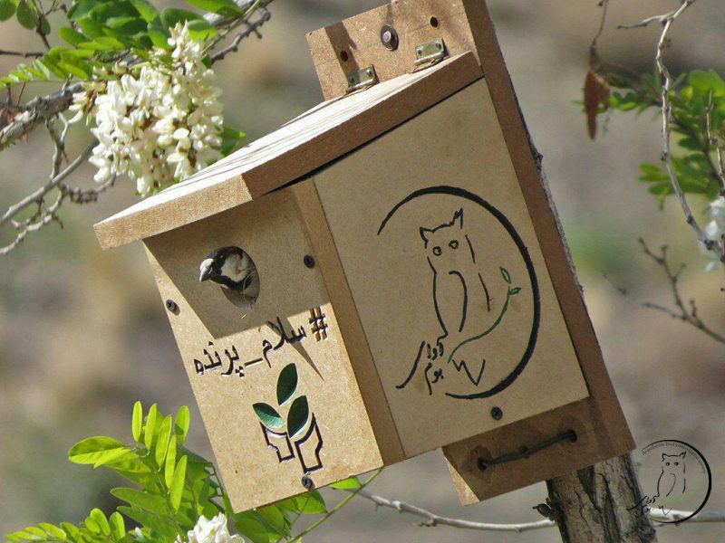 ایرانیکارت حامی موسسه پرنده شناسان آوای بوم