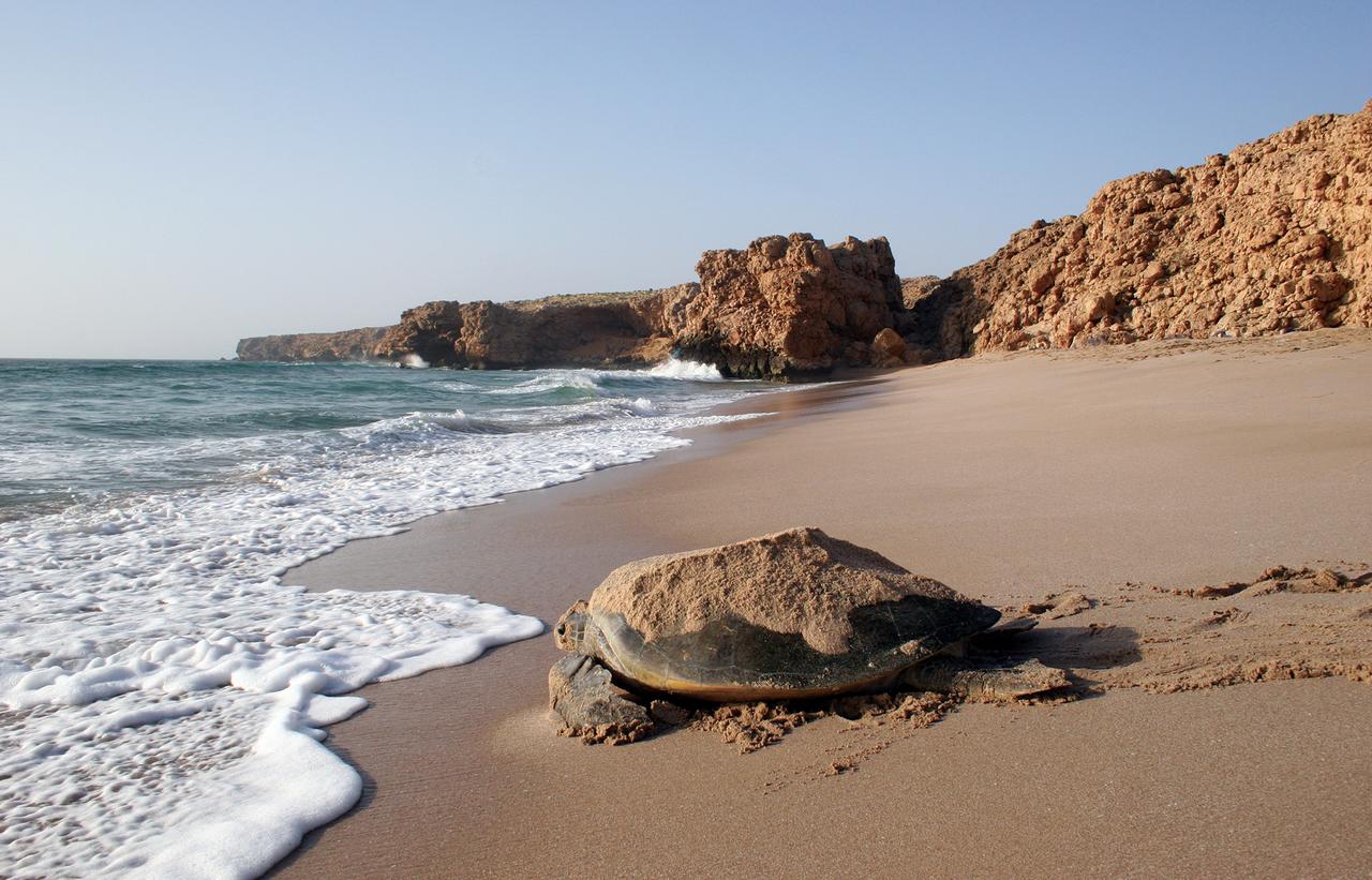 مکان های طبیعی عمان