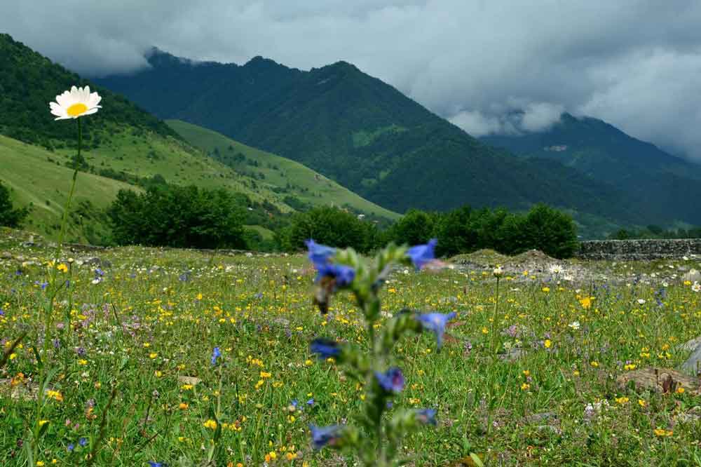 راهنمای سفر به گرجستان | سفر بدون ویزا