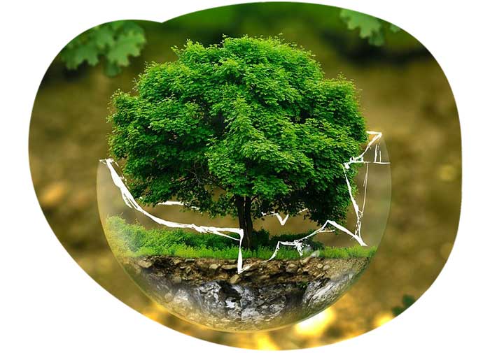 مسئولیت اجتماعی