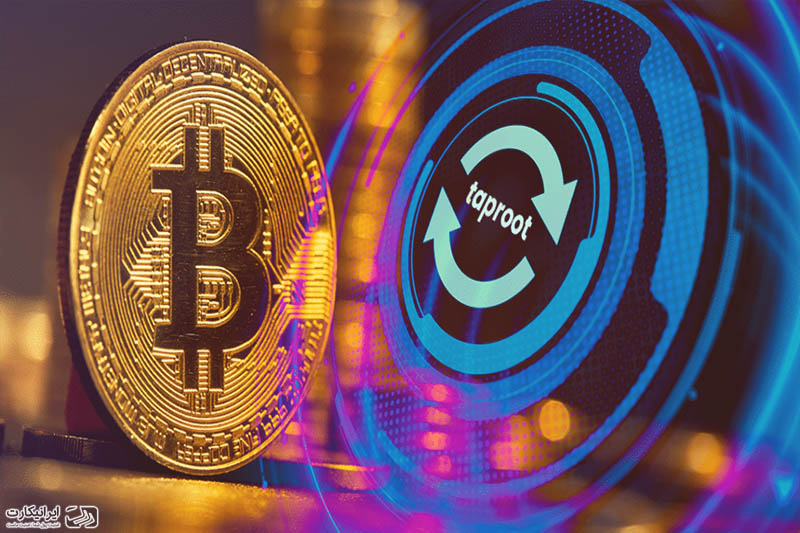 تپ روت بیت کوین
