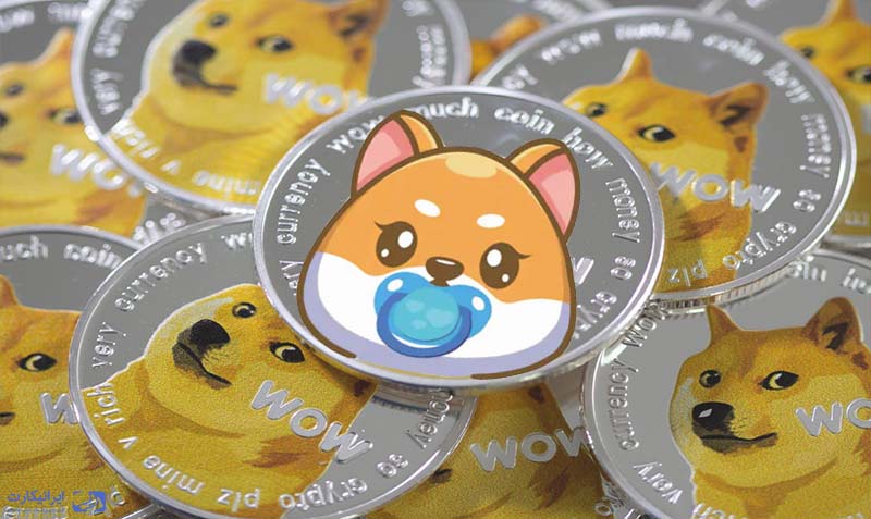بنیان گذاران BabyDoge چه کسانی هستند؟