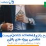 طرح پانزی (ponzi scheme) چیست؟ شناسایی پروژه های پانزی