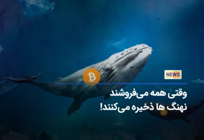 احساسات صعودی برای بیت کوین: نهنگ‌ ها در حال انباشت هستند!