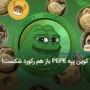 میم کوین PEPE در حجم معاملات و ارزش بازار از شیبا و دوج کوین پیشی گرفت!