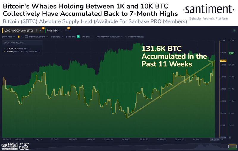 انباشت 3.5 میلیارد دلار بیت کوین در 3 ماه گذشته ایرانیکارت