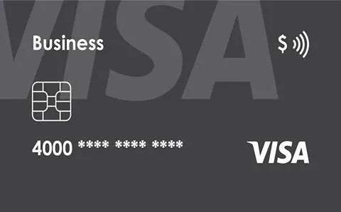 ویزاکارت بیزینس بدون نام (دلار)