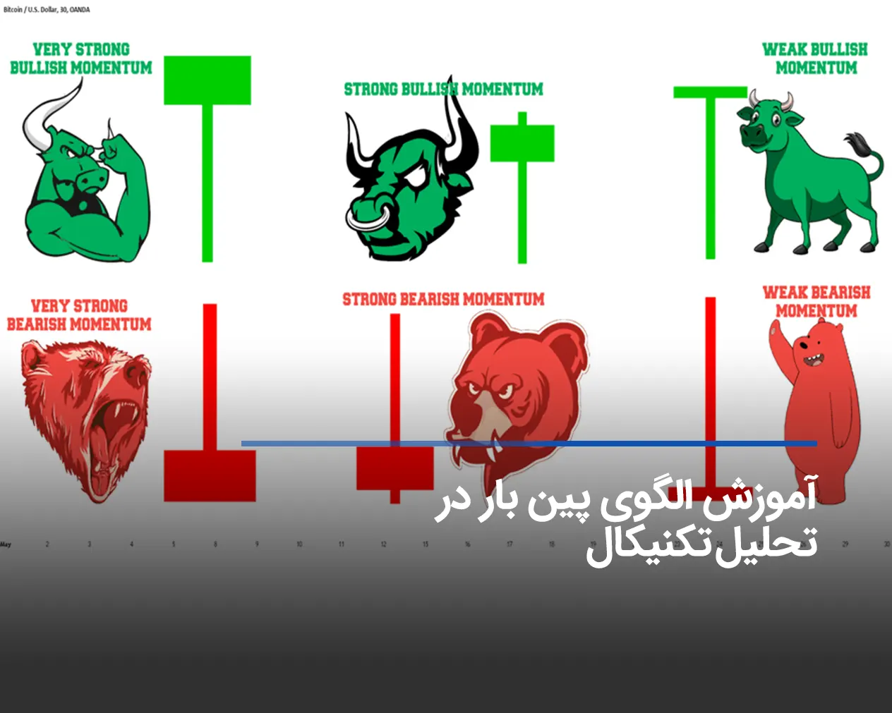 الگوی پین بار در تحلیل تکنیکال و بهترین روش معاملاتی با pinbar