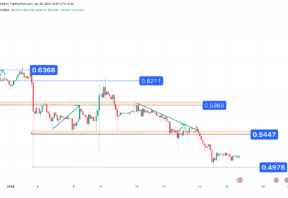 تحلیل تکنیکال ریپل (XRP) ۱۴۰۲/۱۱/۰۵، ادامه فاز نوسانی