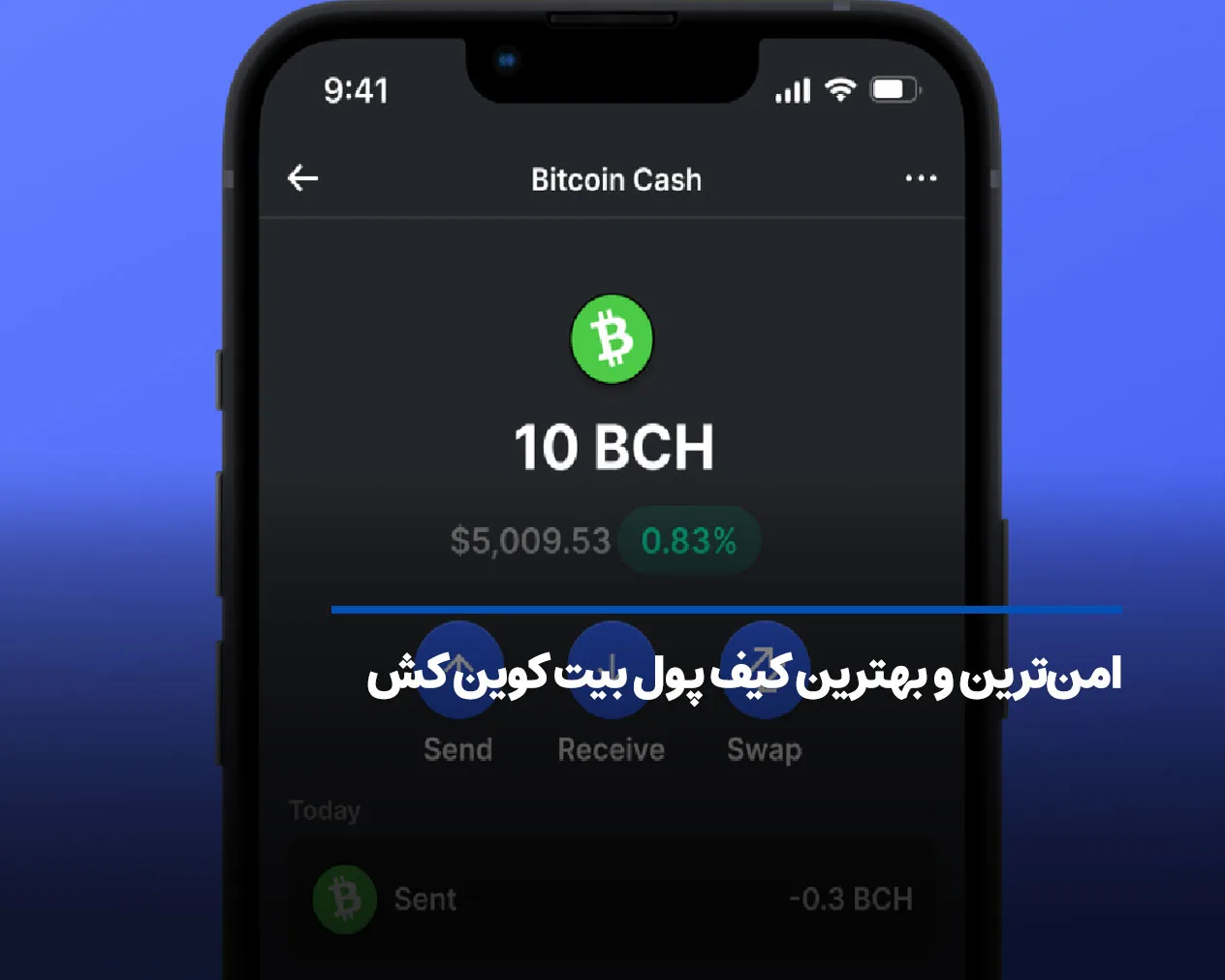 امن‌ترین و بهترین کیف پول بیت کوین کش در سال 2026 کدام است؟