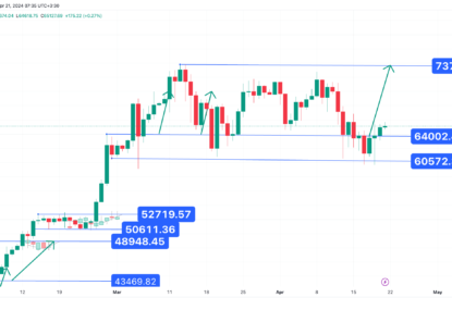 تثبیت بالاتر از مقاومت ۶۵۰۰۰ دلار، تحلیل بیت کوین ۱۴۰۳/۰۲/۰۲،ادامه روند صعودی