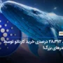 رشد ۲۸،۳۷۲ درصدی خرید کاردانو توسط هولدرهای بزرگ!