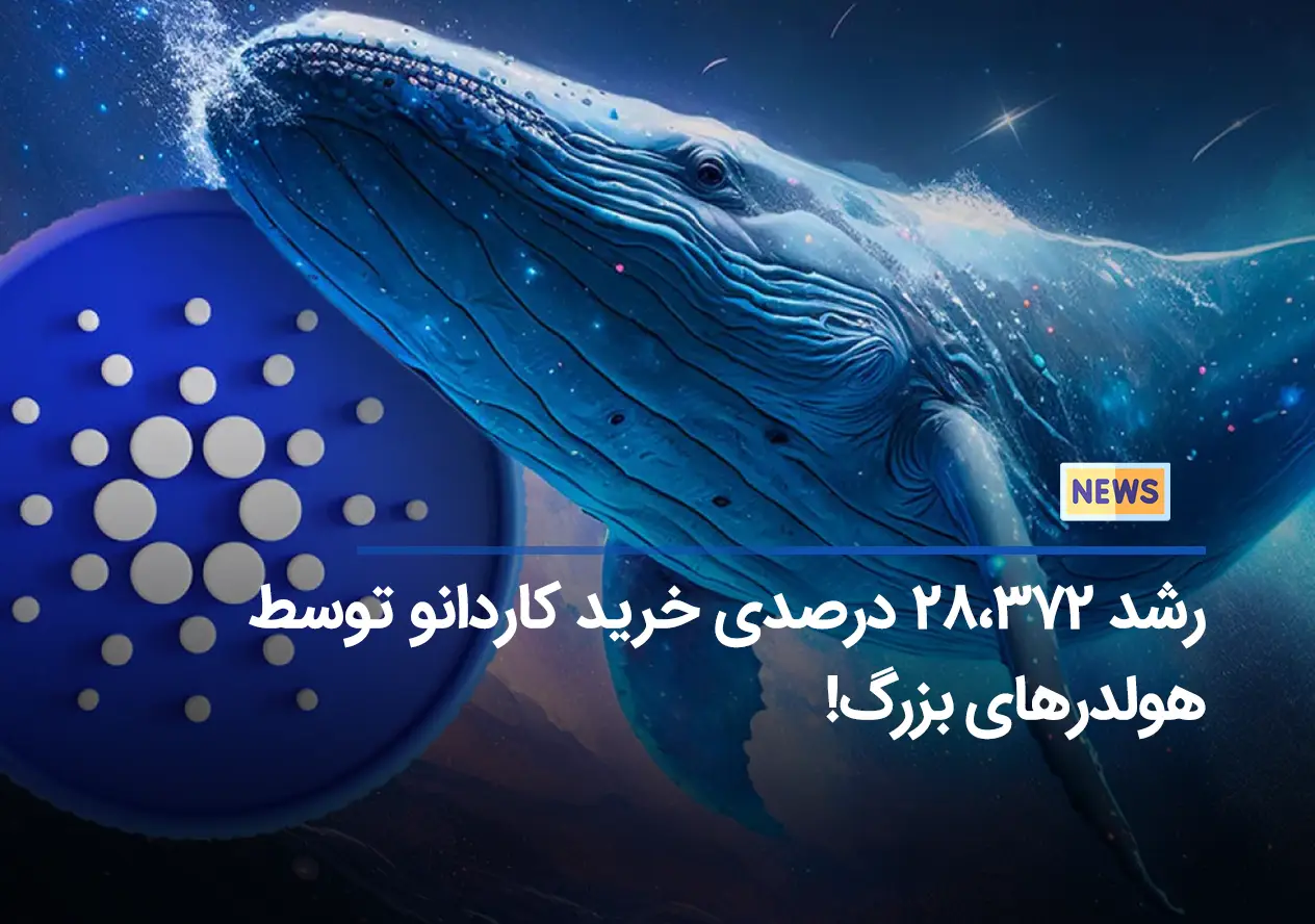 رشد ۲۸،۳۷۲ درصدی خرید کاردانو توسط هولدرهای بزرگ!