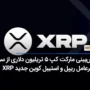 پیش‌بینی مارکت کپ ۵ تریلیون دلاری از سوی مدیرعامل ریپل و استیبل کوین جدید XRP