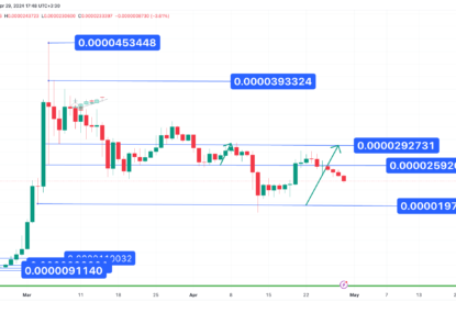 اصلاح قیمت تا سطح 0.000023 دلار، تحلیل تکنیکال شیبا اینو ۱۴۰۳/۰۲/۱۰،ادامه روند اصلاحی