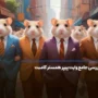 بررسی جامع وایت پیپر همستر کامبت