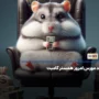 کد مورس همستر کامبت امروز 24 شهریور ماه 1403