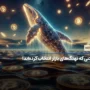 نهنگ‌های بازار چه رمزارزهایی خریده‌اند؟