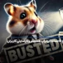 همستر کامبت، بدترین ایردراپ تاریخ! سهم شما چقدر بود؟